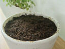 史丹利 椰糠砖椰土砖椰砖营养土脱盐花土耶砖种菜通用型 实拍图