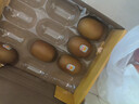 佳沛（zespri）意大利 阳光金奇异果12粒礼盒特大果单果约122-146g 猕猴桃 水果 实拍图
