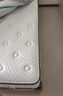 源氏木语乳胶床垫棕垫天然椰棕硬垫子弹簧席梦思垫0胶水床垫椰椰/H2京仓款 实拍图