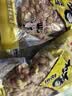 冻干冰糖葫芦山楂无核酥脆猴头菇饼板栗仁花生白砂糖多款产品 花生五香味【净重】250g*2袋 实拍图