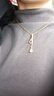 钛钢气质葫芦吊坠项链女轻奢小众设计精致锁骨链高级感时尚毛衣链 微镶葫芦吊坠项链 实拍图