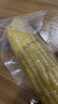 京鲜生东北白糯玉米330g*8根 甜黏玉米低脂早餐代餐粗粮真空装 源头直发 实拍图