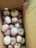 2025鲜蒜新鲜现挖独头大蒜紫皮湿蒜农家红皮蔬菜独蒜批发 热卖-大果【果径25-30mm】紫皮独蒜 带箱2斤-净重1.8斤 实拍图
