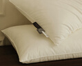 MIDO HOUSE铭都软糯慢回弹酒店枕头全棉枕芯护颈椎助单只装 中枕 48*74cm 实拍图