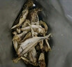 三只松鼠小鱼仔香辣味350g/50包 鱼干即食海鲜海味零食肉食休闲小吃无污染 实拍图