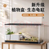 阔庭（KUOTING）乌龟缸桌面透明生态乌龟缸乌客厅水族箱黑色 实拍图