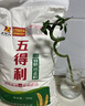 五得利（WUDELI）面粉全麦粉10斤  中筋多用途馒头饼面条 实拍图