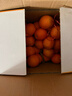 江西赣南早脐橙整箱当季新鲜早橙子榨汁水果礼盒皮薄多汁节日团购 【30%人选】净重18斤单个160g+ 实拍图