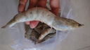 卖鱼郎先生青岛盐冻大虾净重3.6斤 10-15只/斤 白虾大虾基围虾生鲜 虾类 实拍图