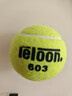 天龙（Teloon）网球训练球进阶初学专业比赛网球耐磨 603进阶初学-散装10个 送双肩背袋 实拍图