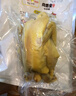 温氏 供港鲜熟白切鸡1.8斤冷冻高品质农家散养土鸡白斩鸡熟食肉类 实拍图