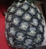 正宗海南金钻凤梨新鲜水果当季树上熟芒果凤梨【催熟食用】 1粒装单果500g-650g【7成熟，催熟再吃】 实拍图