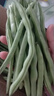 农家四季豆新鲜现摘云南长扁豆角农家应当季蔬菜芸豆现摘菜豆 新鲜四季豆2斤带箱 实拍图