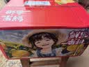 黄六爷正宗湖北夏橙榨汁橙子大果新鲜当季水果柑橘蜜桔手剥脐橙鲜橙整箱 9斤【中果】单果60-70mm|鲜甜多汁 实拍图