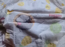 五羊（FIVERAMS）婴儿游泳纸尿裤L码3片（9-14kg）游泳裤拉拉尿裤一次性防水尿不湿 实拍图