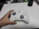 飞智冰原狼4多模版无线游戏手柄 类xbox 力调节摇杆双切扳机 switch电脑PC手机steam体感NS 丝之歌 实拍图