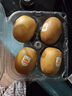 佳沛（zespri）新西兰 阳光金奇异果12粒礼盒特大果单果约122-146g 猕猴桃 水果 实拍图