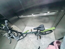 大行（DAHON）P8折叠自行车经典成人20英寸8速折叠车男女式运动单车KBC083 消光灰绿【JD定制版】 实拍图