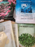 FAN BEAUTY DIARY范冰冰同款面膜5片组合 海葡萄龙血睡美人油橄榄 补水舒缓修护 实拍图