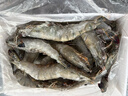 天纵良材进口巨型黑虎虾 活冻大虾老虎虾斑节虾对虾 年货礼品 生鲜海虾 巨型20-24只 2.6斤(净重)  20-22CM 实拍图