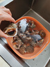 海宏盈【活鲜】 青岛大海螺鲜活 1500g 海鲜贝类生鲜 中规格共20-30只 1500g 实拍图
