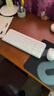 罗技（Logitech）MK251无线蓝牙键盘鼠标套装 办公商务笔记本电脑 数字键盘99键白色键鼠套装（K251键盘+M196鼠标） 实拍图