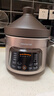 九阳（Joyoung）【国家补贴】快炖电炖锅 电砂锅电炖盅 紫砂锅 燕窝炖盅煮粥锅直炖大容量多功能锅可预约保温GD630 实拍图