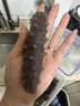 参王朝 大连底播淡干海参干货辽刺参海鲜水产礼盒 7A 实惠装9年 250g*1盒 25-35头 实拍图