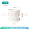 墨斗鱼花盆塑料家用轻奢高级感仿陶瓷树脂阳台多肉带托盘雅典中号白色 实拍图
