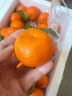 京鲜生 广西砂糖橘 净重3斤 单果35-45mm  生鲜水果 源头直发包邮 实拍图
