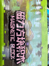 布鲁奇我的世界磁力方块儿童玩具3-6岁磁力积木磁铁磁力片男孩1-3岁礼物 实拍图