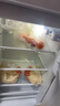 志高（CHIGO）小冰箱迷你小型家用冷藏冷冻两用宿舍出租房用双门办公室电冰箱节能省电 【一级能效】128L银色【三天约一度电】 实拍图