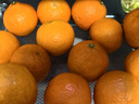 京鲜生 四川爱媛38号果冻橙 净重5斤 单果130g起 生鲜水果柑橘年货礼盒 实拍图