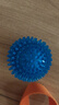 宜特（EETOYS）小号刺球蓝色狗狗玩具趣味发声磨牙耐咬洁齿球独处解闷宠物用品 实拍图
