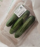 【水果菜】荷兰水果黄瓜约400g 实拍图