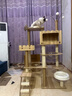 唐米吉吉加粗大型猫爬架猫窝猫树一体太空舱猫架子小户型不占地剑麻猫玩具 【肥猫无忧】176cm猫别墅-B58 实拍图