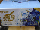 蒙牛真果粒蓝莓味牛奶饮品250g*12盒 小黄鸭IP 礼盒新老包装 含乳饮料 实拍图