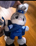 迪士尼（Disney）疯狂动物城朱迪斜挎包兔子玩偶包毛绒玩具娃娃女孩生日礼物女朋友 实拍图