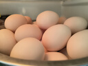 温氏供港L级大码鲜鸡蛋30枚/3.6斤 谷物喂养 无抗生素 生鲜早餐食材 实拍图