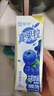 蒙牛真果粒蓝莓味牛奶饮品250g*12盒 小黄鸭IP 礼盒新老包装 含乳饮料 实拍图