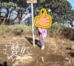 百丽 童鞋冬儿童运动鞋男女童加绒休闲鞋中大童软底板鞋 粉色35码 实拍图