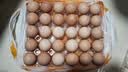 钻石牌【2026新款】电煮锅电饭煲多功能微压锅小电锅火锅专用宿舍家用多功能一体炖煮炒菜锅小型1-2人 1.2L 【升级蒸笼款】6大菜单+食品级不粘锅+蒸茏 实拍图