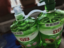 立白 茶籽洗洁精2.9kg A类去污洁净99%除菌去油快不伤手洗涤灵洗碗液 实拍图