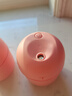 加湿器家用空气加湿器净化器香薰机空调房加湿器喷雾器usb静音卧室孕妇婴儿喷雾宿舍学生女生礼物 标准款【少女粉220ML+纳米雾化+静音加湿】 实拍图