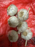 营田半亩今年干蒜头蒜大蒜紫白皮干蒜头山东金乡干大蒜头当季蔬菜200g-5斤 200g【果径3-3.5cm】袋装偏小 实拍图