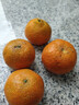 四叔公果蔬广西金秋砂糖橘【多地次日达】沙糖橘子桔子新鲜年货礼盒水果礼盒 【超甜】7A精选果｜单果20-25g 5斤爽吃装【超值推荐-80%买】蕞划算 实拍图