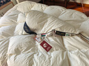 水星家纺羽绒被95%白鹅绒被子冬季加厚冬被芯双人羽绒被220cm×240cm1200g 实拍图