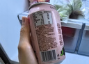 楊協成清凉爽仙草凉粉植物饮料 300ml*24罐 粒粒爽滑 火锅烤肉搭子 实拍图