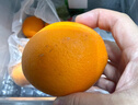 玖原农珍 赣南脐橙新鲜橙子含箱10斤净重9斤优选果150-300g 年货水果礼盒 实拍图