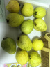 京觅芭乐 白心芭乐 福建白心芭乐土番石榴单果150g 净重3斤装 实拍图